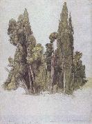 The Cypresses at the Villa d'Este